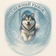 Авторская гонка СФЕС НСО "Снежный рывок" Авторская гонка СФЕС НСО "Снежный рывок"